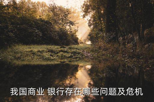 我國商業 銀行存在哪些問題及危機