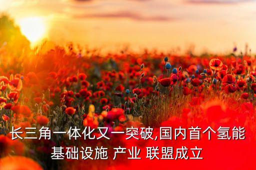 產業投資聯盟,武漢產業投資控股集團