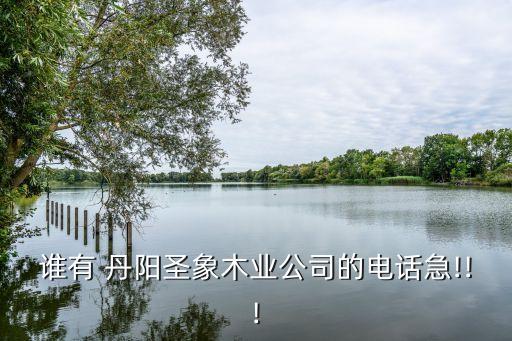 誰有 丹陽圣象木業公司的電話急!!!