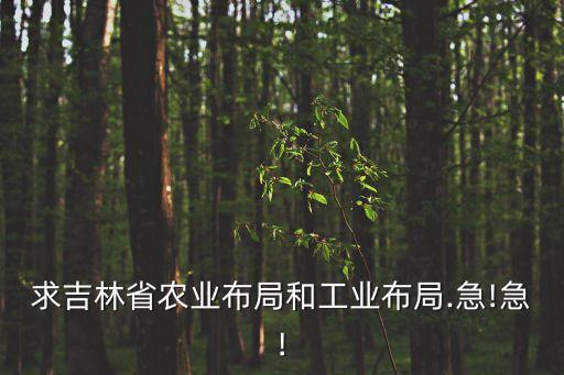 皓月集團招聘牧業總裁