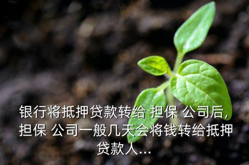 成房擔保公司,天津市津房置業擔保公司