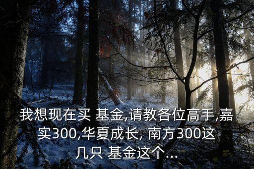 我想現在買 基金,請教各位高手,嘉實300,華夏成長, 南方300這幾只 基金這個...