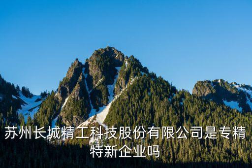 蘇州長城精工科技股份有限公司是專精特新企業嗎