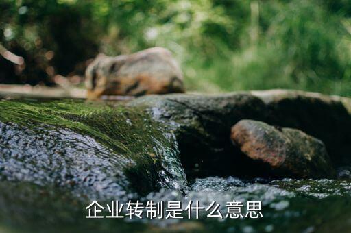 企業轉制是什么意思