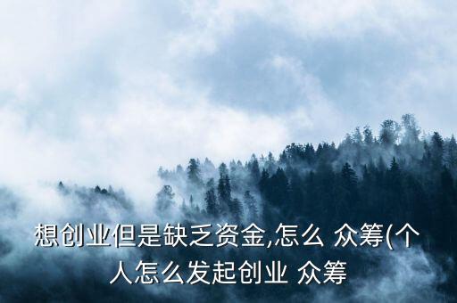 想創業但是缺乏資金,怎么 眾籌(個人怎么發起創業 眾籌