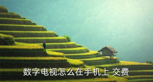 數字電視怎么在手機上 交費