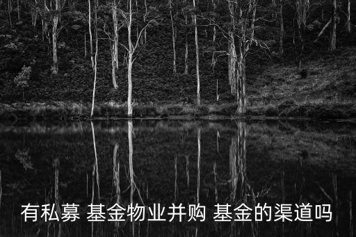 有私募 基金物業并購 基金的渠道嗎