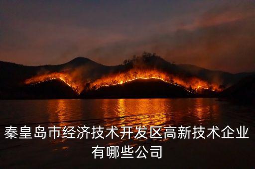 秦皇島市經濟技術開發區高新技術企業有哪些公司
