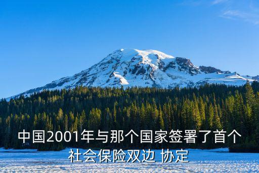 中國與瑞士自貿協定,中國阿根廷自貿協定