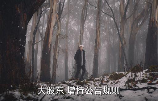 大股東 增持公告規則