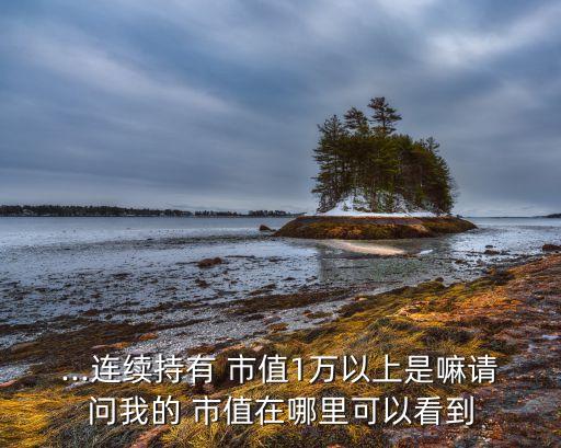 ...連續持有 市值1萬以上是嘛請問我的 市值在哪里可以看到
