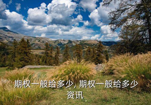  期權一般給多少, 期權一般給多少資訊