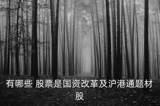 五礦發展股票增發,600058五礦發展股票