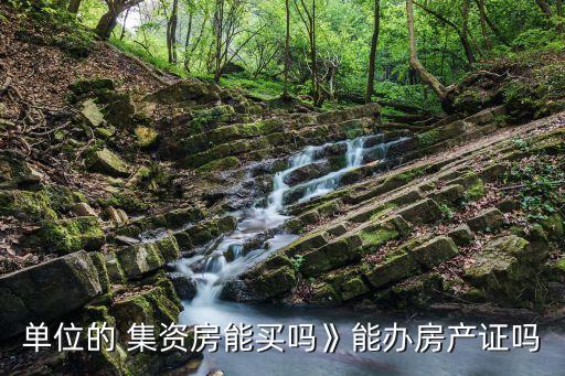 單位的 集資房能買嗎》能辦房產證嗎