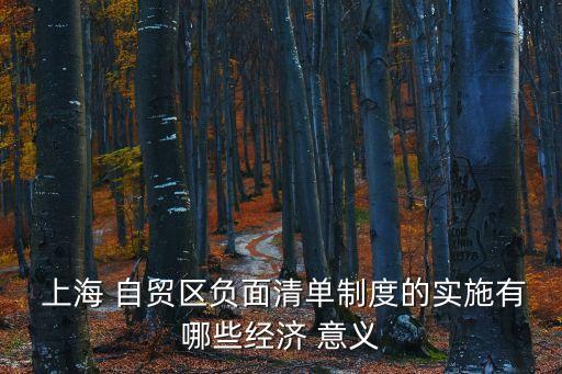  上海 自貿區負面清單制度的實施有哪些經濟 意義