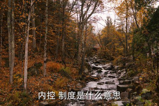 內控 制度是什么意思