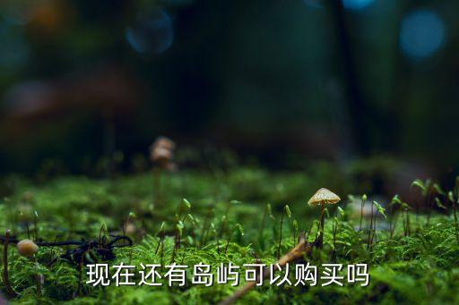 現在還有島嶼可以購買嗎
