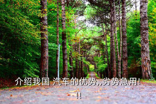 中國汽車生產能力,汽車生產能力包括哪些