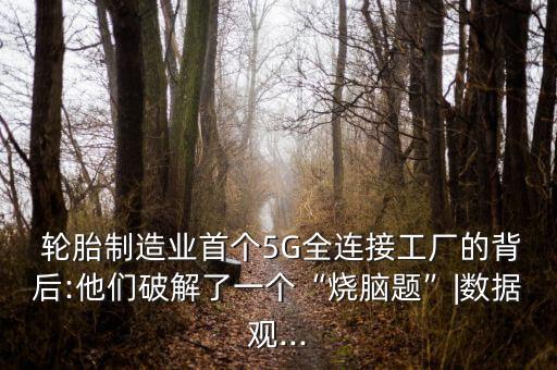  輪胎制造業首個5G全連接工廠的背后:他們破解了一個“燒腦題”|數據觀...
