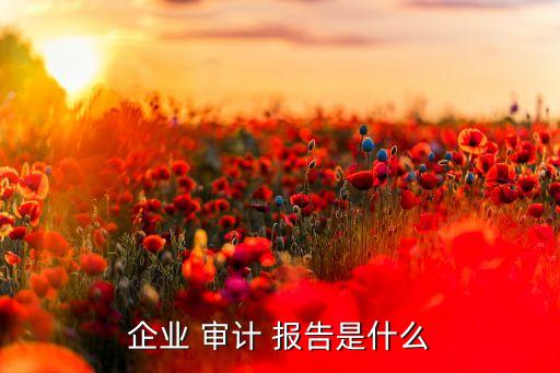 企業 審計 報告是什么