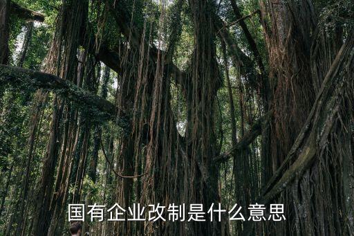 公司制改造不包括,非公司制企業包括哪些