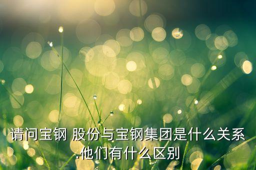請問寶鋼 股份與寶鋼集團是什么關系.他們有什么區別
