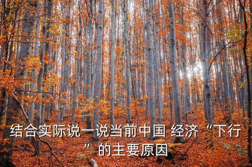 結合實際說一說當前中國 經濟“下行”的主要原因