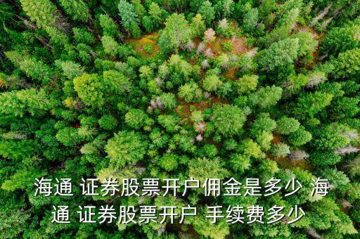 上海海通證券交易手續費,怎么查自己海通證券交易手續費