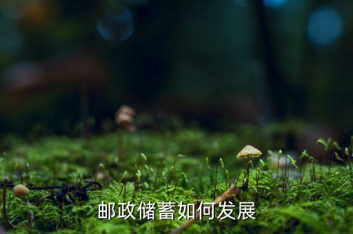 郵政儲蓄如何發展