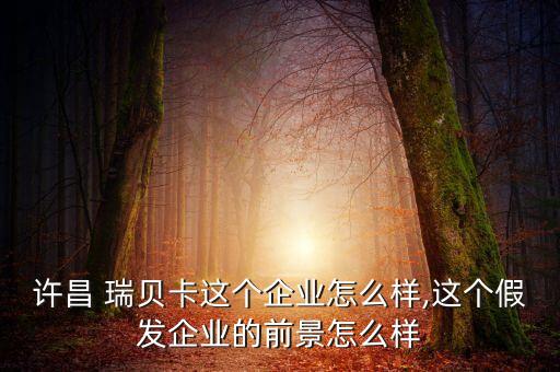 許昌 瑞貝卡這個企業怎么樣,這個假發企業的前景怎么樣