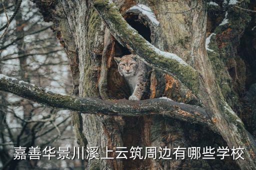  嘉善華景川溪上云筑周邊有哪些學校