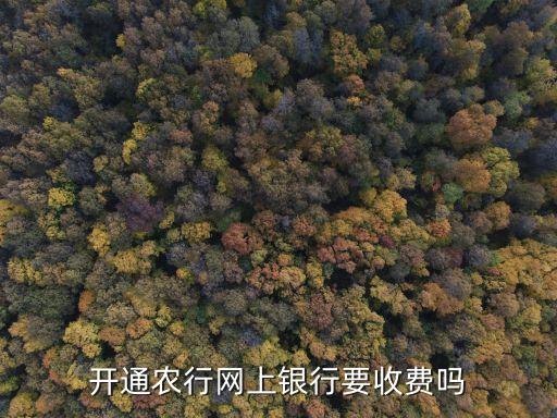 農業銀行網銀要年費嗎