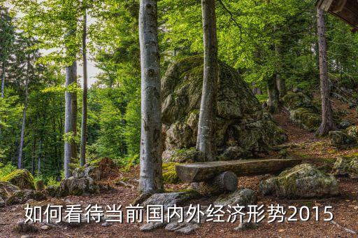 如何看待當前國內外經濟形勢2015