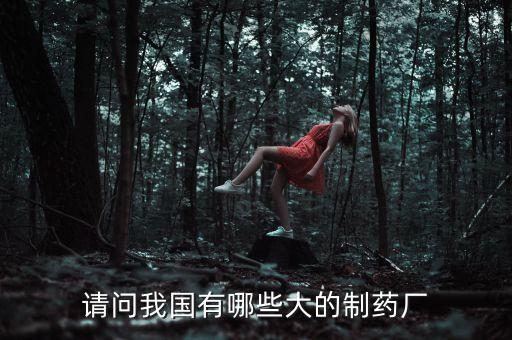 武漢健民藥業集團2015