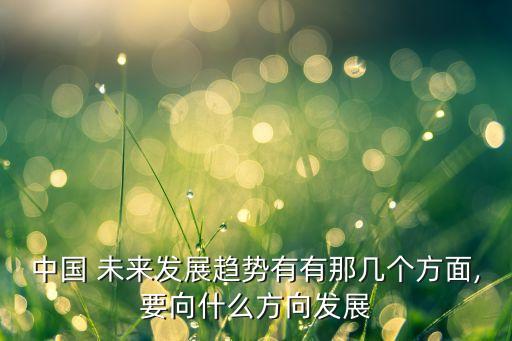 中國 未來發展趨勢有有那幾個方面,要向什么方向發展
