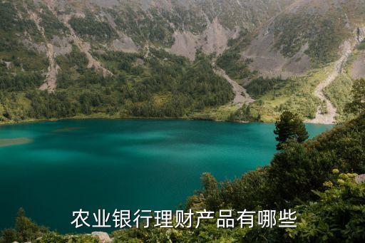  農業銀行理財產品有哪些