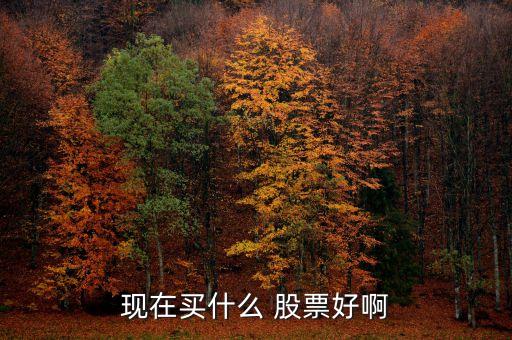 現在買什么 股票好啊
