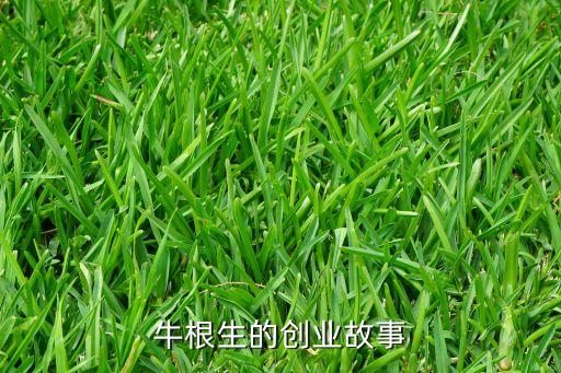 牛根生的創業故事