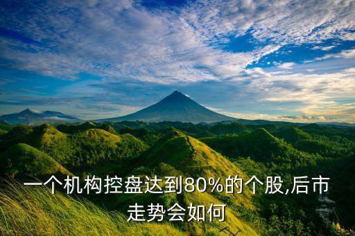 一個機構控盤達到80%的個股,后市走勢會如何