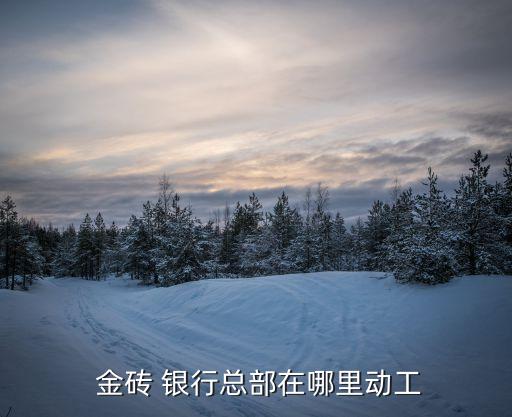 金磚開發銀行
