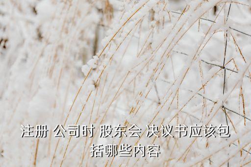 注冊 公司時 股東會 決議書應該包括哪些內(nèi)容