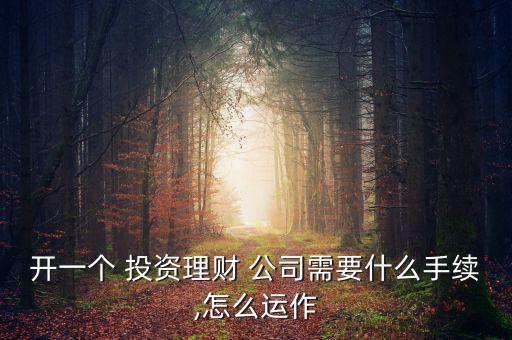 投資金融公司,小企業投資金融公司