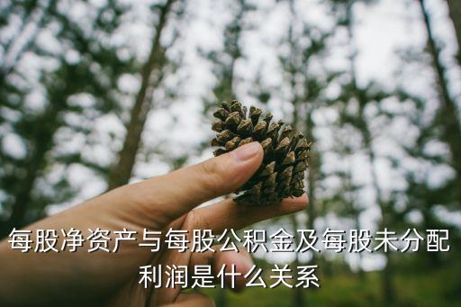 公開發行證券的公司信息披露編報規則