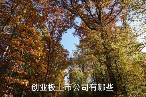 創業板上市公司有哪些