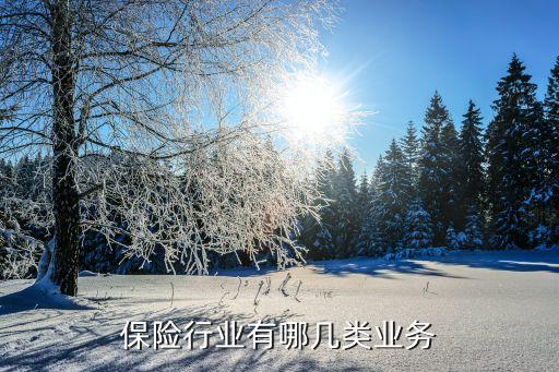 保險行業有哪幾類業務