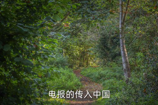 上海電信新興業務