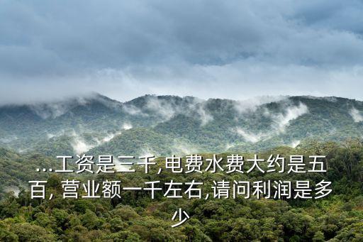 ...工資是三千,電費水費大約是五百, 營業額一千左右,請問利潤是多少