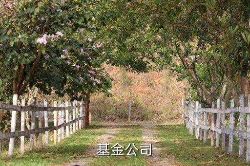 創投基金公司