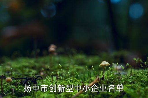 揚中市創新型中小企業名單