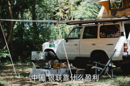 中國 銀聯靠什么盈利